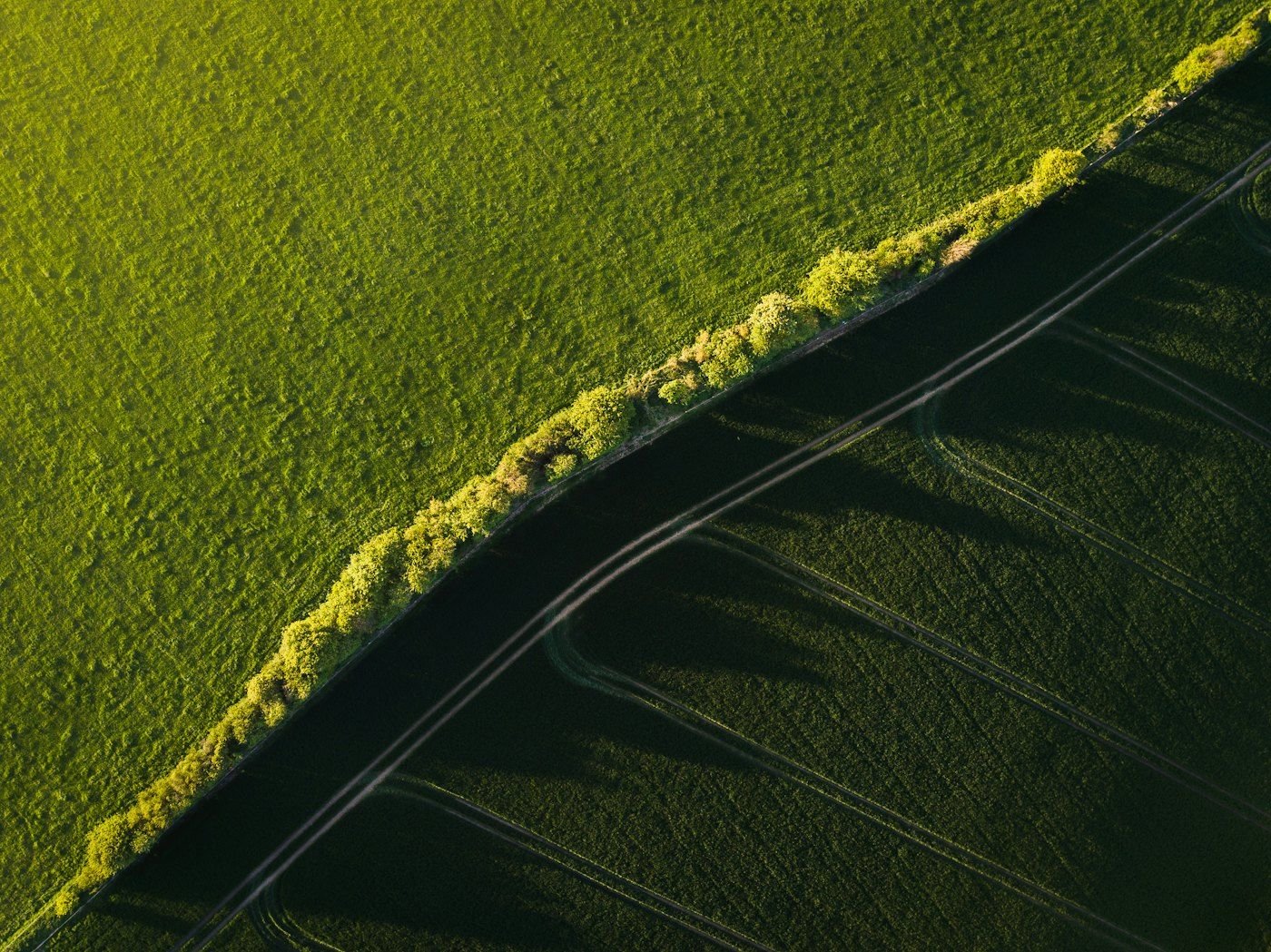 Vista aérea de campos agrícolas